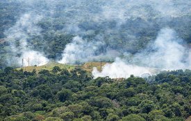  Fumo dos incêndios na Amazónia espalhou-se pelo continente sul-americano