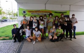 Jovens ecologistas acampam «pela sustentabilidade do planeta»