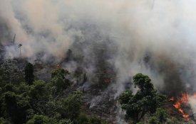 Amazónia em risco com a «MP da grilagem» de Bolsonaro