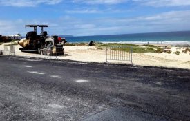 Três anos depois, ecologistas confirmam consequências de asfalto na Fonte da Telha 