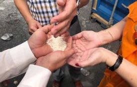  Vietname doou a Cuba 5000 toneladas de arroz