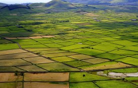 PAN vira aliado da coligação de direita nos Açores 