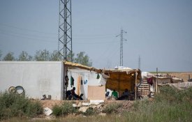 Nos campos de Lleida, migrantes apanham fruta entre precariedade e estigma