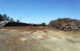  Alcácer do Sal exige retirada de madeira contaminada à Sonae