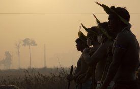 DocLisboa abrirá com filme «Nheengatu - A Língua da Amazónia» de José Barahona