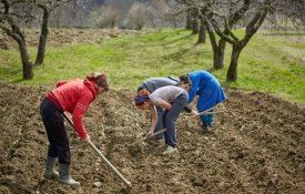 Agricultores assinalam 50 anos do arrendamento rural
