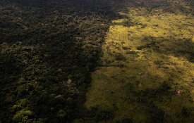 Governo brasileiro suspende operações contra desflorestação e queimadas