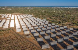 Leilões de fotovoltaicas: pedir menos e ganhar mais