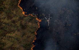 «Bolsonaro é o Nero dos incêndios na Amazónia»