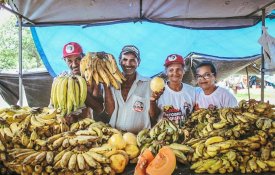 Aquisição de alimentos da agricultura familiar nos mínimos com Bolsonaro