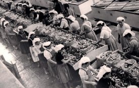As mulheres e a indústria conserveira sobem ao palco do Luísa Todi 