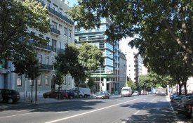 Espaços verdes de Lisboa devem ser «estruturantes»