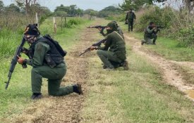  Arreaza denuncia campanha mediática sobre irregulares armados colombianos