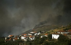 Incêndios florestais e responsabilidade política