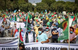 Agricultores portugueses também avançam para a luta 