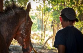 «Fidel, niño valiente», filme épico sobre um rapaz e o seu cavalo de corridas