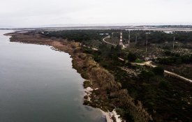  Ambientalistas voltam a recorrer à Justiça por causa do novo aeroporto