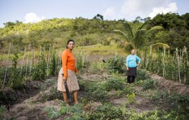  É preciso reconhecer a «importância da mulher rural e agricultora»