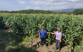 Na Comuna El Maizal, 4500 famílias constroem um projecto socialista