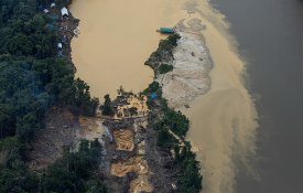  Sete indígenas mortos em seis meses com o avanço do garimpo em Roraima