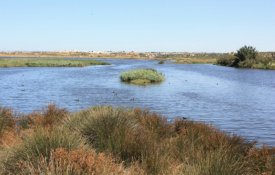 Apresentada proposta para a criação da Reserva Natural da Lagoa dos Salgados