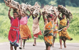 Mulheres indígenas pagam preço elevado por defender terras e direitos na Índia