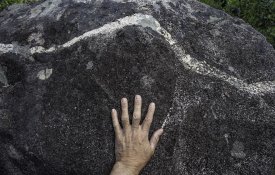«Natureza Morta»: exposição fotográfica em Avis