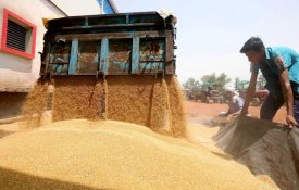 Governo indiano anuncia restrições à exportação de farinha de trigo