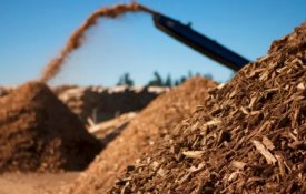 O capitalismo «verde» e a biomassa