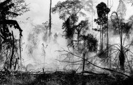 Dossiê aponta queimadas como estratégia de avanço do agronegócio no Brasil