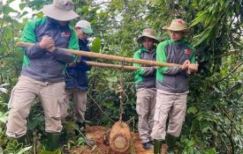  Desactivada no Vietname outra bomba do tempo da guerra