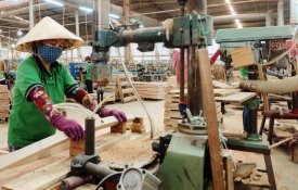 Vietname aposta na reflorestação e prevê aumentar exportações de madeira