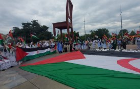 Em Genebra, exigiu-se a libertação dos presos políticos saarauís