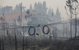  Negligência da EDP pode ter provocado um dos maiores fogos do ano