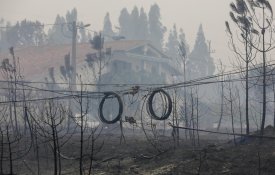 Negligência da EDP pode ter provocado um dos maiores fogos do ano
