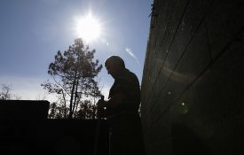 Apoios para agricultores afectados pelos fogos com prazo prolongado