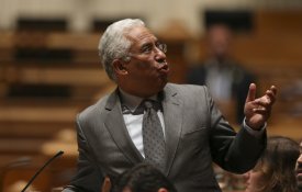 Voluntarismo e falta de meios – floresta em debate no Parlamento
