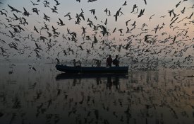  Fotografia da Índia vence Concurso Andrei Stenin