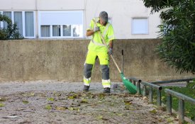 Luta dos cantoneiros de Alvalade alcança os objectivos