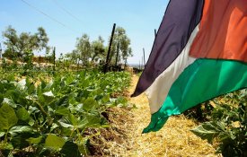 CNA reafirma solidariedade com camponeses, pescadores e povo da Palestina