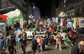 Forte jornada de solidariedade com a Palestina nas ruas da Galiza