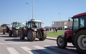 Agricultores de Aveiro realizaram marcha de tractores 