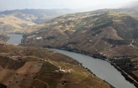 Pequenos e médios produtores reclamam a devolução da Casa do Douro