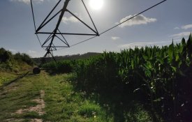 Governo executa menos de metade do prometido no Plano Nacional de Regadios