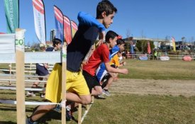 O desporto escolar como pilar da cultura desportiva em Portugal