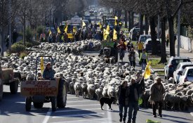 O grito dos agricultores europeus e a PAC