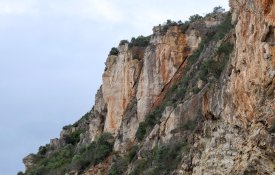 Câmara de Setúbal quer reunir com novo Governo sobre risco na Arrábida