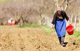  2026 é Ano Internacional da Mulher Agricultora