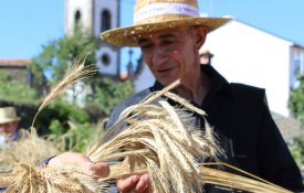 Tradição, arte, cultura e pão