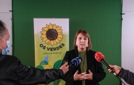 PEV entende que Governo «escancara portões ao privado também na ferrovia»
